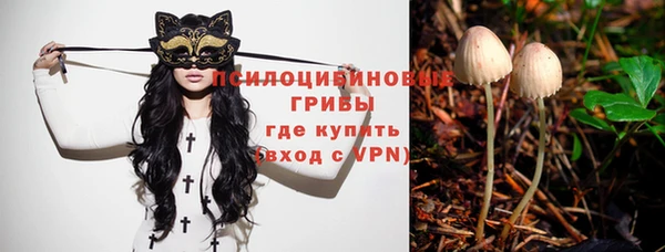 mdpv Нязепетровск