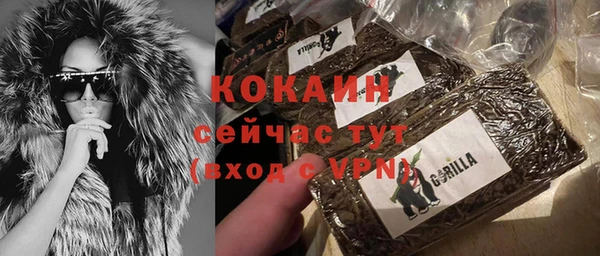 трава Няндома